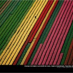 Photos by Yann Arthus Bertrand